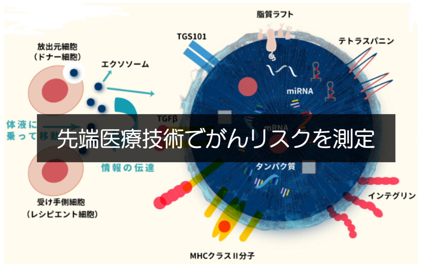 img20210526165838739987.png
